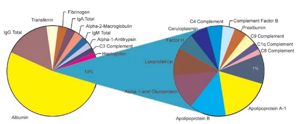 The relative contribution of proteins within plasma